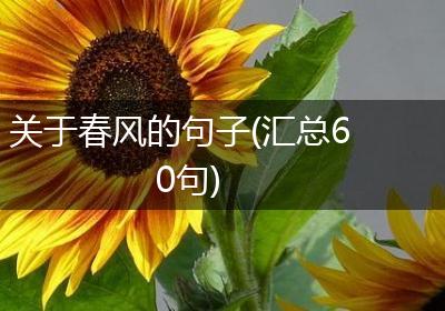 关于春风的句子(汇总60句)