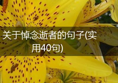 关于悼念逝者的句子(实用40句)