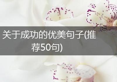 关于成功的优美句子(推荐50句)