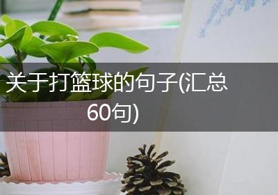 关于打篮球的句子(汇总60句)