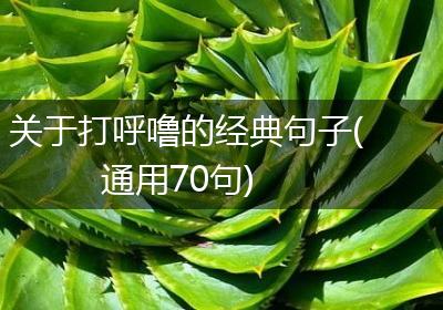 关于打呼噜的经典句子(通用70句)