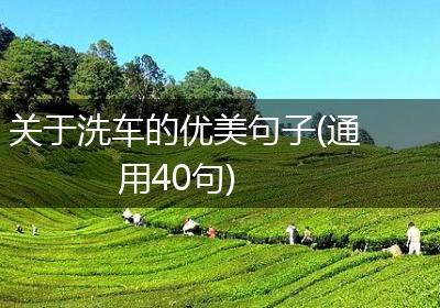 关于洗车的优美句子(通用40句)