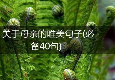关于母亲的唯美句子(必备40句)