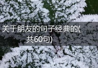 关于朋友的句子经典的(共60句)