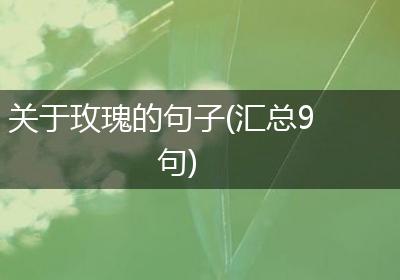 关于玫瑰的句子(汇总9句)