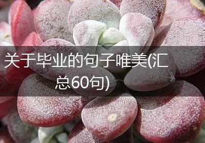 关于毕业的句子唯美(汇总60句)
