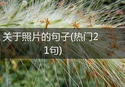 关于照片的句子(热门21句)