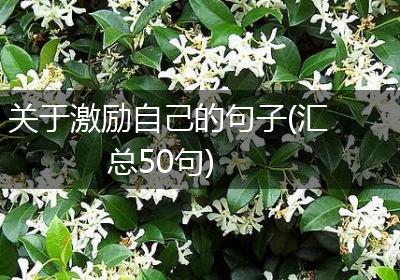 关于激励自己的句子(汇总50句)