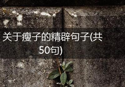 关于瘦子的精辟句子(共50句)