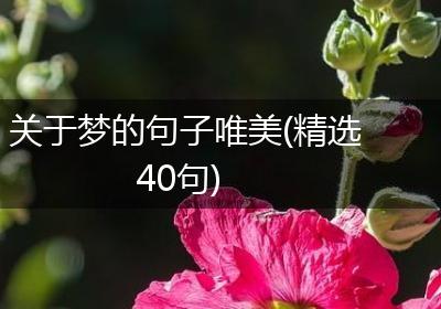 关于梦的句子唯美(精选40句)