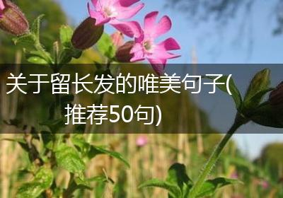关于留长发的唯美句子(推荐50句)