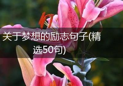 关于梦想的励志句子(精选50句)