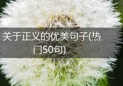 关于正义的优美句子(热门50句)