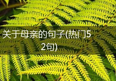 关于母亲的句子(热门52句)
