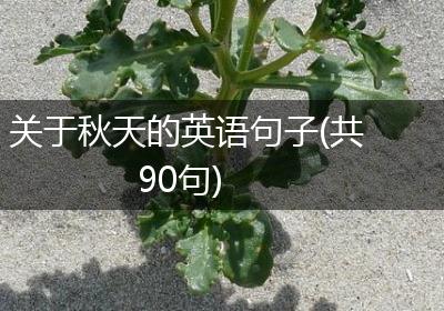 关于秋天的英语句子(共90句)