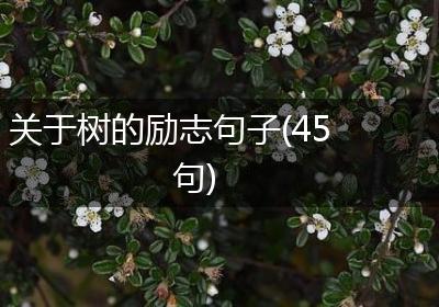 关于树的励志句子(45句)