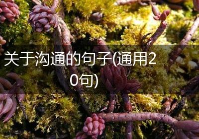 关于沟通的句子(通用20句)