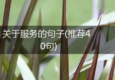 关于服务的句子(推荐40句)