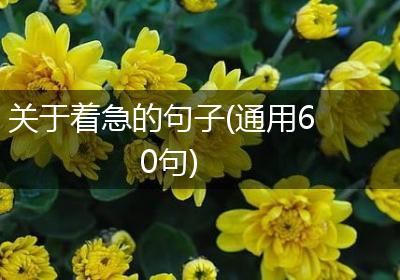关于着急的句子(通用60句)