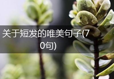 关于短发的唯美句子(70句)