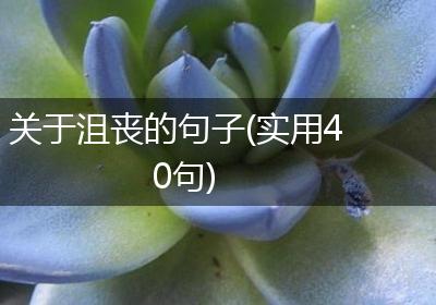 关于沮丧的句子(实用40句)