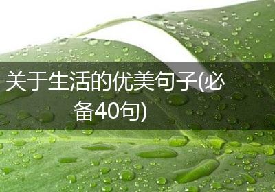 关于生活的优美句子(必备40句)