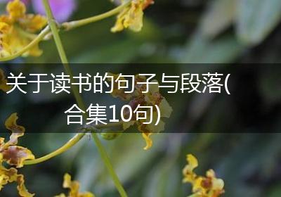 关于读书的句子与段落(合集10句)