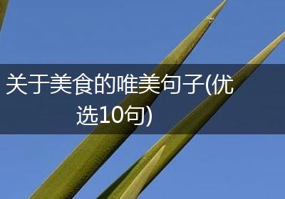 关于美食的唯美句子(优选10句)