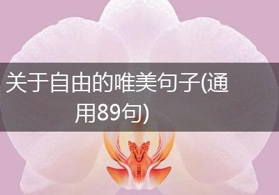 关于自由的唯美句子(通用89句)