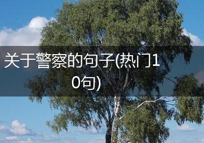 关于警察的句子(热门10句)