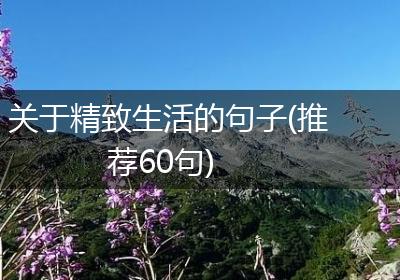 关于精致生活的句子(推荐60句)