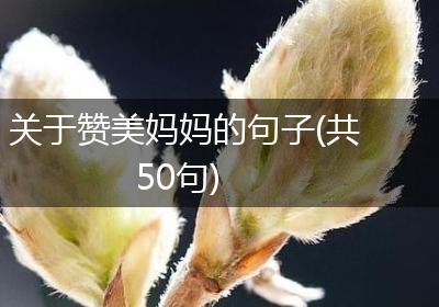 关于赞美妈妈的句子(共50句)