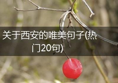 关于西安的唯美句子(热门20句)