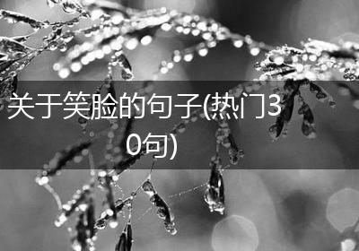关于笑脸的句子(热门30句)