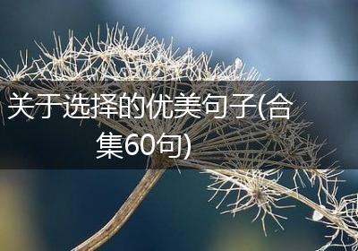 关于选择的优美句子(合集60句)