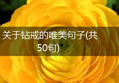 关于钻戒的唯美句子(共50句)