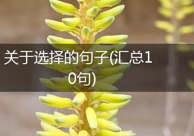 关于选择的句子(汇总10句)