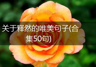 关于释然的唯美句子(合集50句)