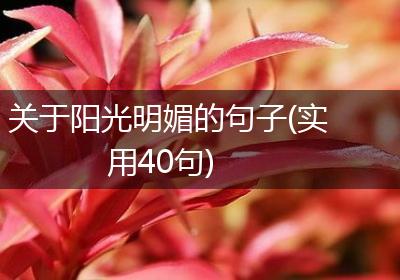 关于阳光明媚的句子(实用40句)