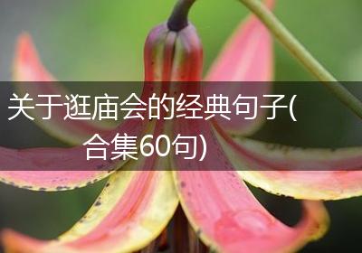 关于逛庙会的经典句子(合集60句)
