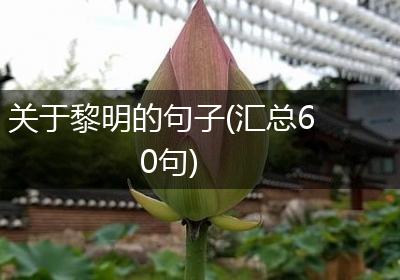 关于黎明的句子(汇总60句)