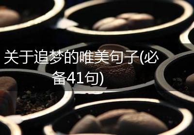 关于追梦的唯美句子(必备41句)