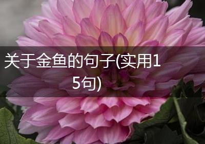 关于金鱼的句子(实用15句)