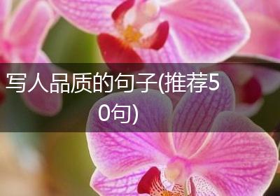 写人品质的句子(推荐50句)