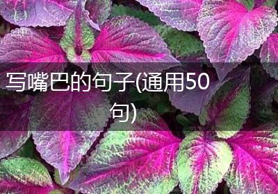 写嘴巴的句子(通用50句)