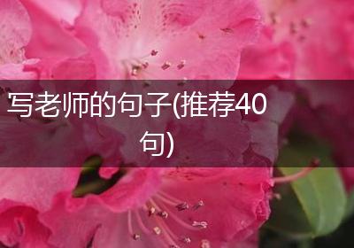 写老师的句子(推荐40句)