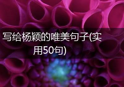 写给杨颖的唯美句子(实用50句)