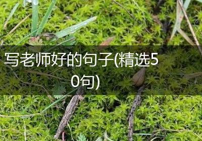 写老师好的句子(精选50句)