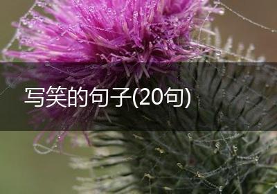 写笑的句子(20句)