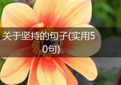 关于坚持的句子(实用50句)